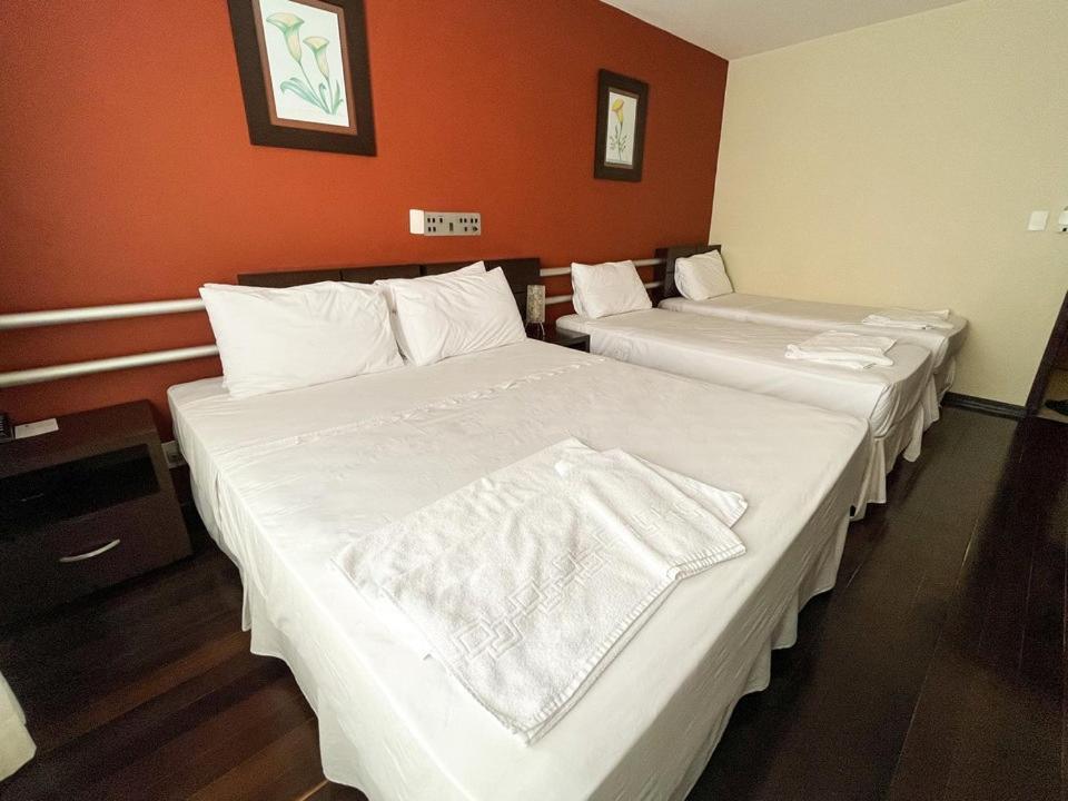 Santa Catarina Plaza Hotel Canoinhas Eksteriør bilde